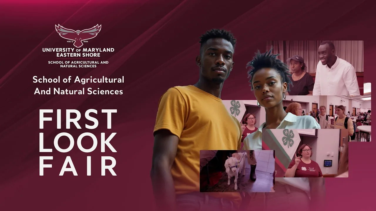 UMES SANS First Look Fair 2025 poster with students and campus scenes